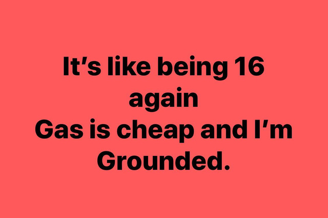 b02a28e5-f49e-4f38-9b0f-cf9bc5d811f1